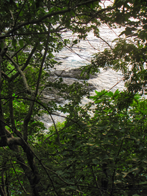 An image from Costa Rica beach